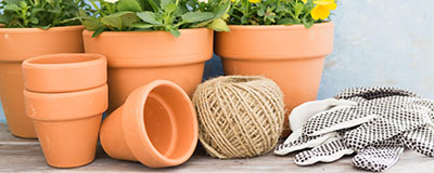 Flower Pots
