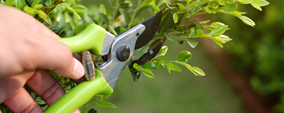 Cutting Tools