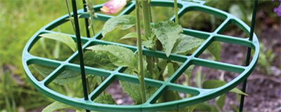 Plant Support Accessories