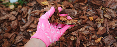 Wooden Chips