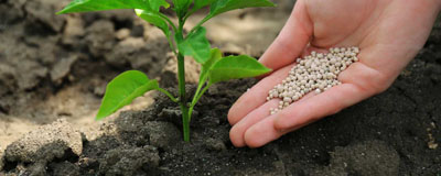 Solid fertilizer