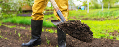 Shovels