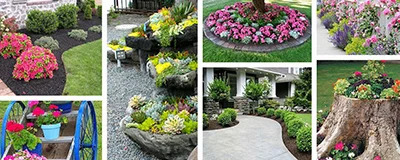 Outdoor Plants and Flowers