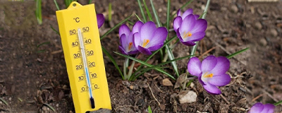 Garden Thermometers