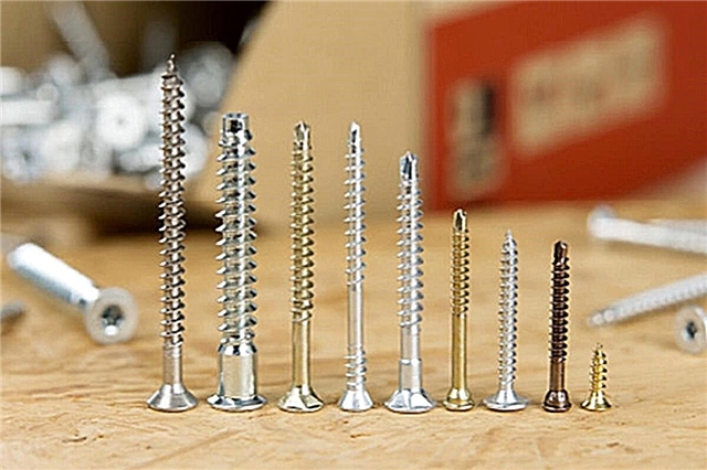 Wood Screws