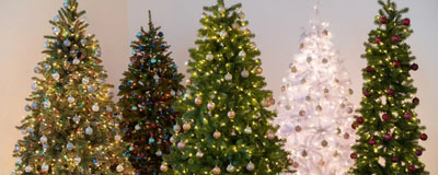 Christmas Trees