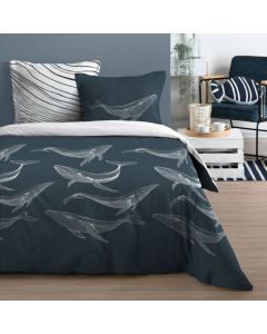 Çarçaf set, Marine, dopjo, pambuk, gri/e zezë, 240x220 cm;63x63 cm(x2)