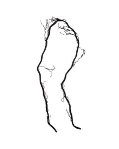 Dege peme, plastike, kafe, 400 cm