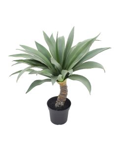 Lule artificiale, në vazo, Yucca, plastike, jeshile, 71 cm