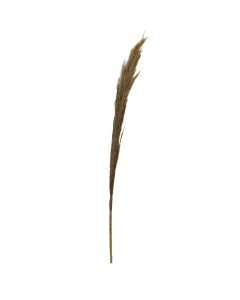 Lule dekorative, material natyral, natyrale, h150 cm