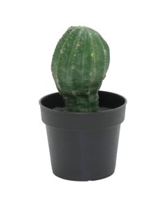 Lule artificiale, Cactus, në vazo, plastike, jeshile, 16 cm