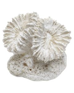 Objekt dekorues, rezin, e bardhë, 11x8.5xH9 cm