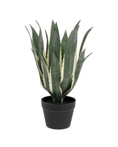 Bimë artificiale, Agave, plastike/çimento, jeshile/e zezë, Ø35xH55 cm