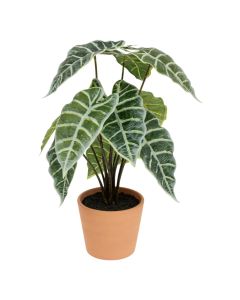 Bimë artificiale, Alocasia, plastike, jeshile/terrakotë, Ø28xH43 cm