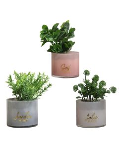 Lule artificiale, Tayli, në vazo, qelq/plastike, jeshile/gri, Ø9.8xH18 cm