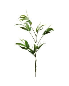 Artificial flower, Bamboo, plastic, green, 15x5xH81 cm