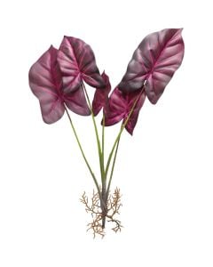 Artificial flower, Caladium, plastic, purple, 44x31xH53 cm