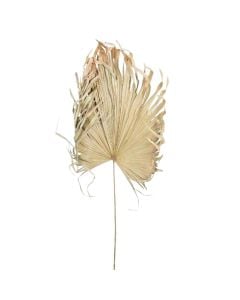 Artificial flower, dried, natural, 120xH180 cm
