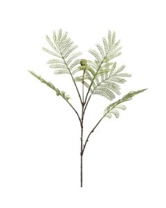 Artificial flower, Mimosa, plastic, green, 30x10xH80 cm