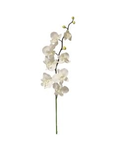 Artificial flower, Orchid, plastic, white, 16x8xH83 cm
