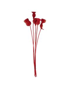 Lule natyrale të thara, kuqe, 60 cm