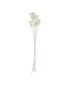Lule natyrale të thara, natyrale, 60 cm