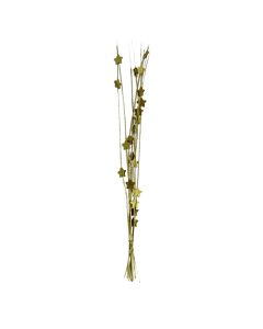 Lule natyrale të thara, floriri, 70 cm