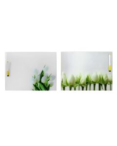 Tabele shkrimi xhami me marker TULIP 40x0.4xH30cm.