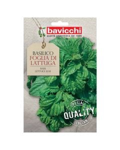 Farë bimë aromatike, borziloku variatet sezonal