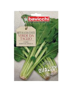 Vegetable seeds, chard perpetual spinach