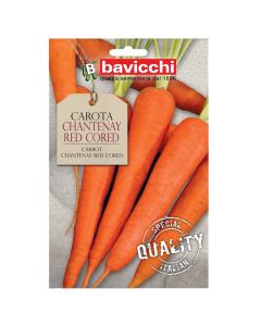 Vegetable seeds, carot chantenay red cored