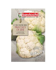 Vegetable seeds, cauliflower precoce di jesi