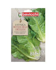 Vegetable seeds, romaine lettuce white paris