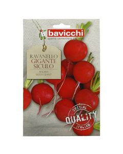 Vegetable seeds, radish sicily giant