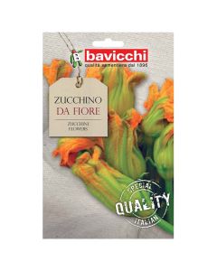 Vegetable seeds, zucchini flowers