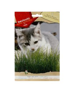 Grass seeds, cat grass