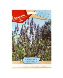 Farë bimë aromatike, lavanda