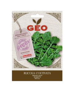 Vegetable seeds, arugula salat
