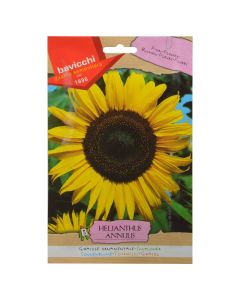 Farë lule, helianthus annus e verdhë
