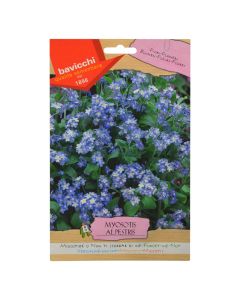 Farë lule, myosotis alpestris
