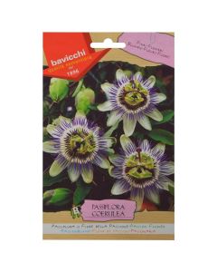 Farë lule, passiflora coerulea