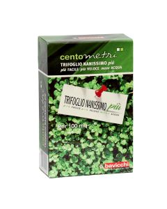 Grass seed dichondra, Bavicchi, box/0.5 kg  20-30 m2, resists hot climates but also cold