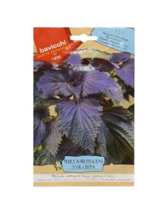 Farë bime aromatike, perilla rossa