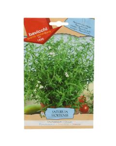 Farë bime aromatike, satureja hortensis