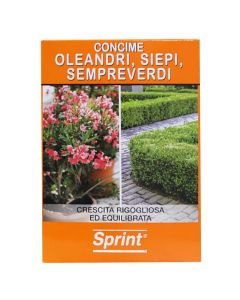 Fertilizer, Sprint, box/1 kg, evergreens, inorganic composed of macroelements, NPK (s) 13-5-20 (20)