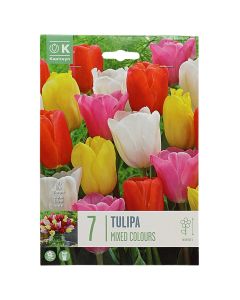 Bulba, për në tokë dhe në vazo, miks ngjyrash, 7 cop/pako, Tulipan divers Mixed Colours