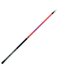 Fishing rods, Colmic,  REMAKE 3.00mt Anellata Bolo