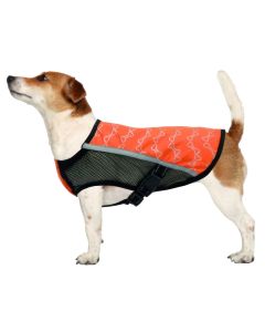 Mushama kundra shiut per qen, Camon, 46 cm
