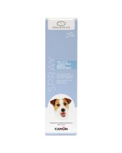 Dry shampoo, Camon, 250 ml