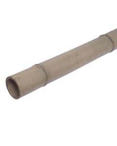 Natural bamboo for decoration, Videx, H150 x Ø 7 cm, treated with varnish